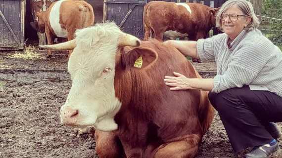 Leonie Cornips is crouching next to a brown and white cows with horns. She has short blond hair, is wearing glasses, a shirt, trousers and black clogs.