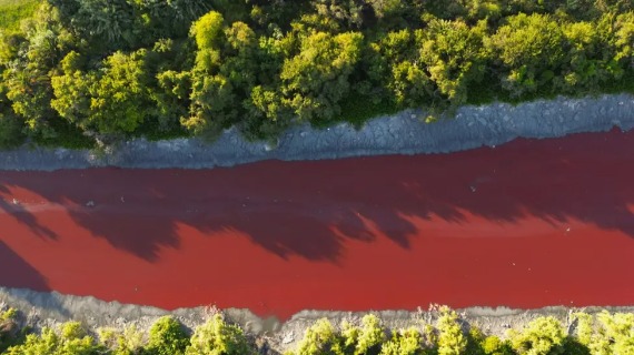 An aerial view shows an unusual reddish colour of the Sarandí canal, with trees along its banks.