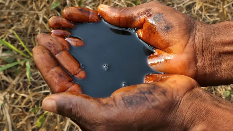 Two cupped hands hold up spilled oil